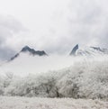 Mountain valley in snow under cloudy sky Royalty Free Stock Photo