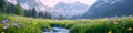 Mountain valley with wildflowers and stream in springtime landscape nature scene Royalty Free Stock Photo