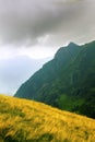 Mountain in Valtellina Royalty Free Stock Photo