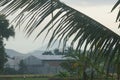 A mountain view from a distance and there is a vast expanse of rice fields. Royalty Free Stock Photo