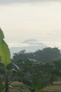 A mountain view from a distance and there is a vast expanse of rice fields. Royalty Free Stock Photo