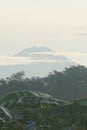 A mountain view from a distance and there is a vast expanse of rice fields. Royalty Free Stock Photo