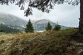 Mountain view from the forest. Frame from a tree branch. Fog in the mountains Royalty Free Stock Photo