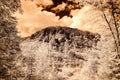mountain view from forest. infrared image