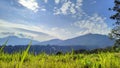 Mountain view with green grass as foreground, Cisarua, West Java, Indonesia.