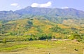 Mountain View Of Green Valley Rice Terraced Fields