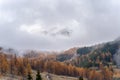 Mountain View Of Larchs Forest in Autumn Royalty Free Stock Photo