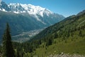 Mountain View Overlooking Chamonix Valley with Pine Tree in Foreground Royalty Free Stock Photo