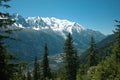 Mountain View Overlooking Chamonix Valley with Pine Trees in Foreground Royalty Free Stock Photo