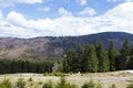 Gravel road at the edge of a forest Royalty Free Stock Photo