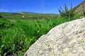 Mountain view, stone and green grass