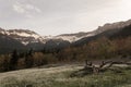 Mountain view mountain tops with snow forest meadow and dry log