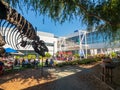 Employees working outdoors at Googleplex headquarters main office