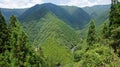 Mountain view in Wakayama, Japan