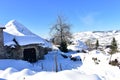 Mountain village with ancient palloza houses covered with snow. Snowy mountainside and spruces, blue sky, Piornedo, Spain. Royalty Free Stock Photo