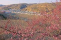 Mountain village early spring Royalty Free Stock Photo