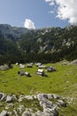 Mountain village, Slovenia Royalty Free Stock Photo