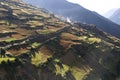 Mountain village surrounded by fields - Nepal