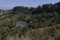 mountain village and terrace farming on slopes of himalayan foothills near darjeeling hill station