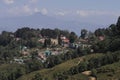 mountain village and terrace farming on slopes of himalayan foothills near darjeeling hill station