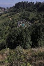 mountain village and terrace farming on slopes of himalayan foothills near darjeeling hill station