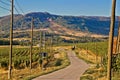 Mountain vineyard region scenic road Royalty Free Stock Photo