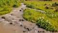 The mountain volcanic river originating from the Mayon volcano. Legazpi. Philippines. Shooting in motion.