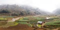 The mountain was covered with fog, and in front of the mountain there were green fields with crops and farms. Sapa