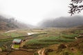 The mountain was covered with fog, and in front of the mountain there were green fields with crops and farms. Sapa