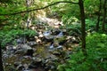 Mountain water spring flowing through rocky landscape surrounded by forest foliage. Royalty Free Stock Photo