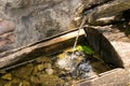 Mountain water spring Royalty Free Stock Photo