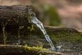 Mountain water spring Royalty Free Stock Photo