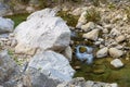 Mountain water stream at the rock in slow motion Royalty Free Stock Photo