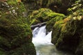 Mountain waterfall. fast stream water Royalty Free Stock Photo