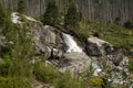 Mountain waterfall flowing over massive rocks. Blooming mountain flowers in the foreground. Broken trees in the background. High Royalty Free Stock Photo