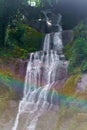 A mountain waterfall flows over the rocks. Waterfall cascade on mossy rocks. Mountain waterfall view. Waterfall cascade