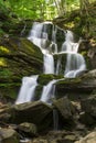 Mountain waterfall in a green forest among stones and trees. Cascade falls over mossy rocks Royalty Free Stock Photo