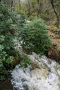 Waterfall into Maury River Royalty Free Stock Photo