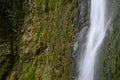 Mountain waterfall with moss landscapes Royalty Free Stock Photo