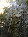 Waterfall water flow close scene. Waterfall landscape. Waterfall flow