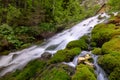 Mountain waterfall with pure water and green vegetation Royalty Free Stock Photo