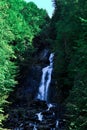 Mountain waterfall between stone rocks and green trees Royalty Free Stock Photo