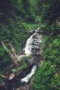 Mountain waterfall among stones, grass and ferns Royalty Free Stock Photo