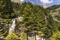mountain and waterfalls in village theodorian arta perfecture greece firs forest high rocks butterfly Royalty Free Stock Photo