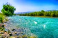 Mountain wild river landscape in sunny morning