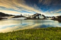 Mountain and Wildflowers