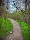 Mountain winding path through the forest. Earth covered with green grass and budding trees. Alone in the middle of nature. Royalty Free Stock Photo