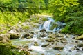 A mountain winding river flows among the stones between the rocks and the forest, a waterfall and stormy water rapids. Royalty Free Stock Photo