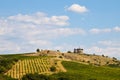 Mountain Winery Landscape