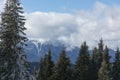 Mountain in the winter.Beautiful panoramic view of the Rhodope Mountains